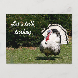 Let's talk turkey postcard