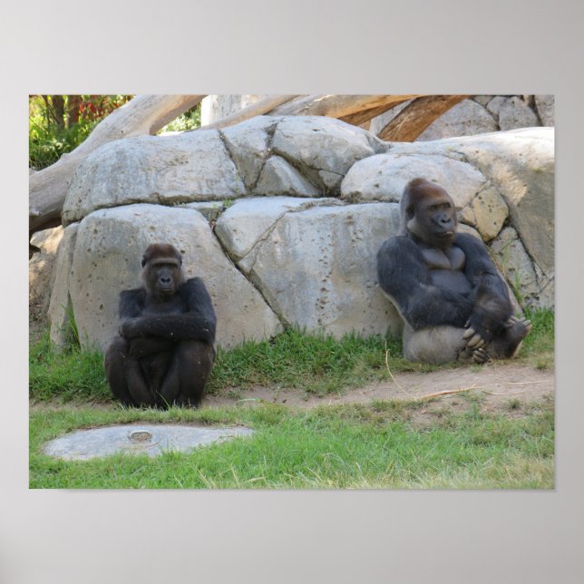 Let's Wait And See Poster (Front)