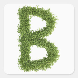 Letter 'B' in cress on white background, Square Sticker