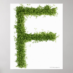 Letter 'F' in cress on white background, Poster