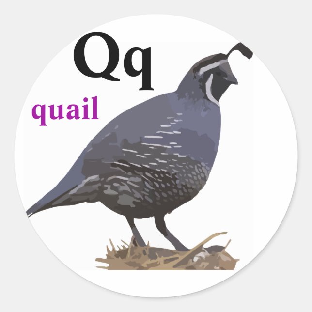 Letter Q quail Stickers (Front)