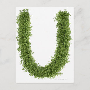 Letter 'U' in cress on white background, Postcard