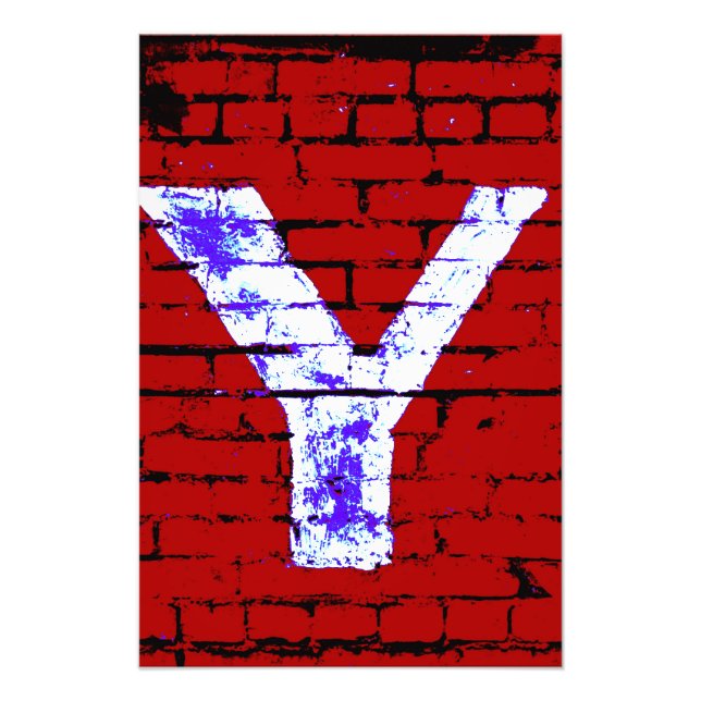Letter Y Alphabet Photography in 3 Colours Photo Print (Front)