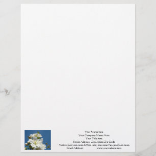 Letterhead Cherry Blossom Blue Sky custom Design