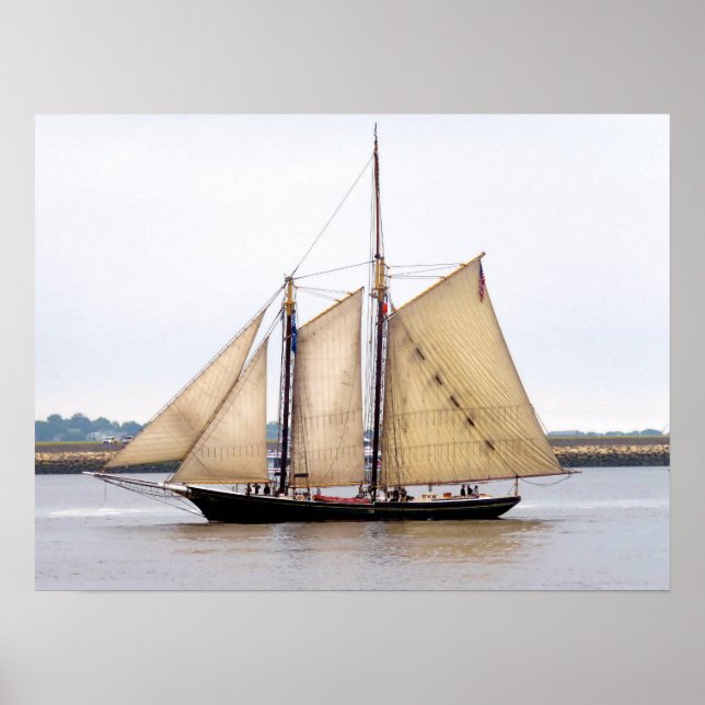 Lettie G Howard Poster (Front)