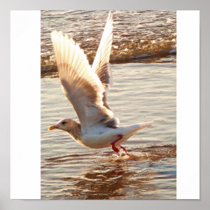 Letting Go_ Poster_by Elenne Poster