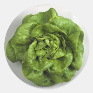 Lettuce Fresh Classic Round Sticker