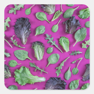 Lettuce Greens on Purple Square Sticker
