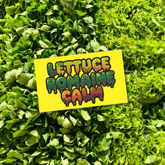 Lettuce Romaine Calm Drippy Text Art Rectangular Sticker