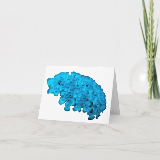 Lettuce sea slug card (Front)