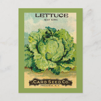 Lettuce Seed Pack Postcard