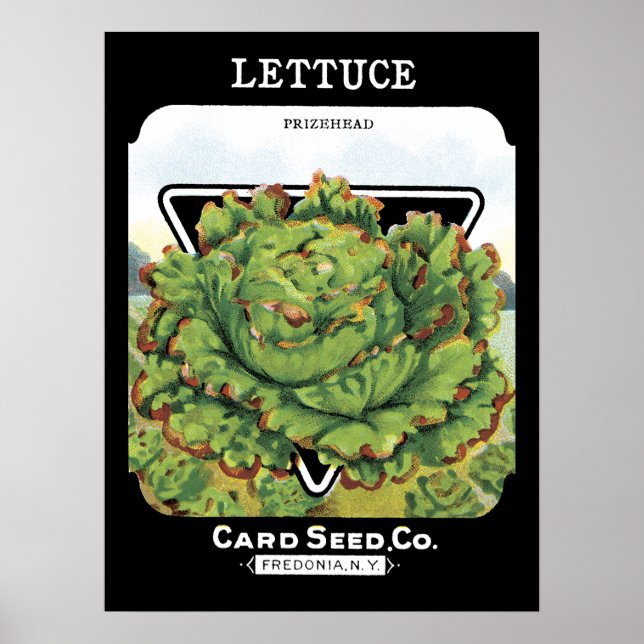 Lettuce Seed Packet Label Poster (Front)
