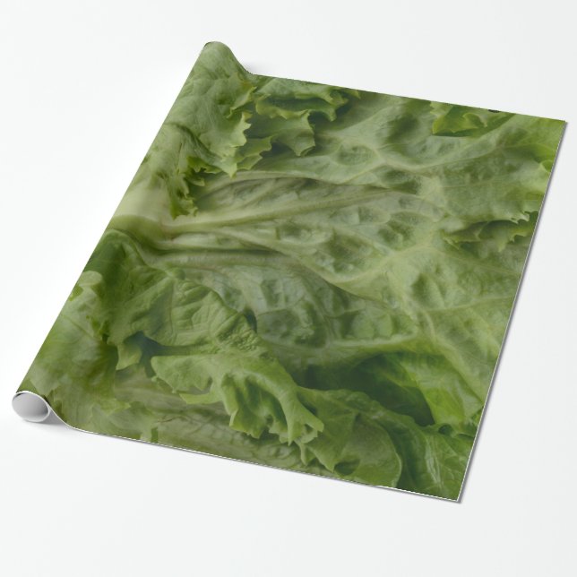 Lettuce wrappng paper (Unrolled)