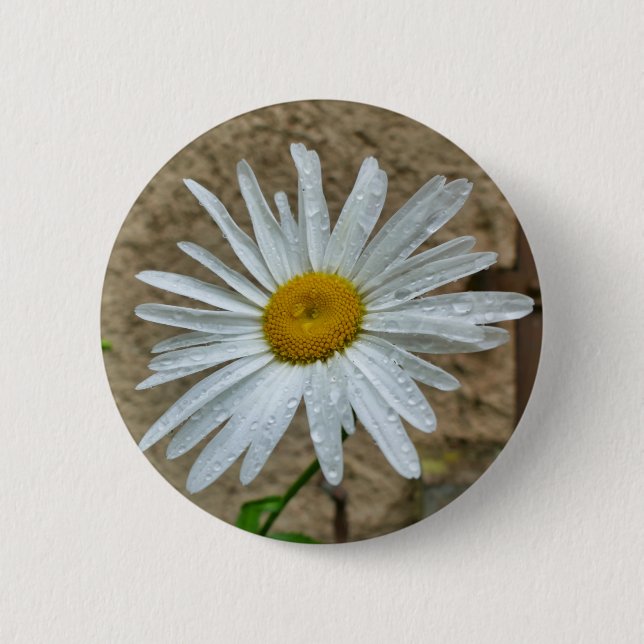 Leucanthemum Bloom Badge (Front)