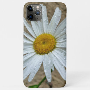 Leucanthemum Bloom iPhone 11 Pro Max Case
