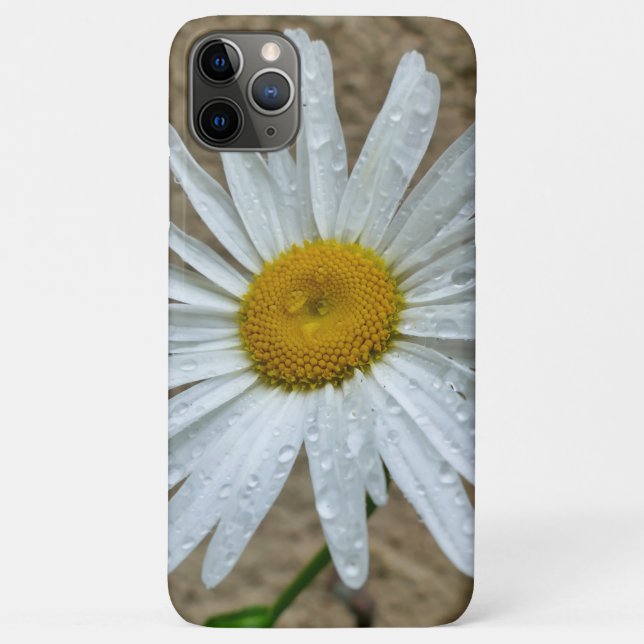 Leucanthemum Bloom Case-Mate iPhone Case (Back)
