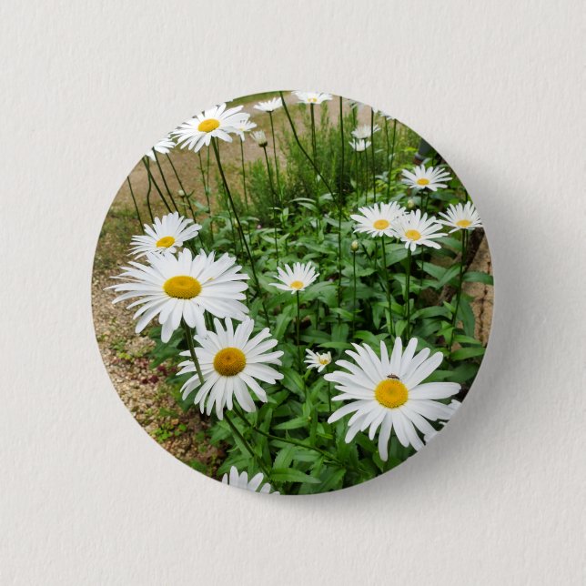 Leucanthemum Blooms Badge (Front)
