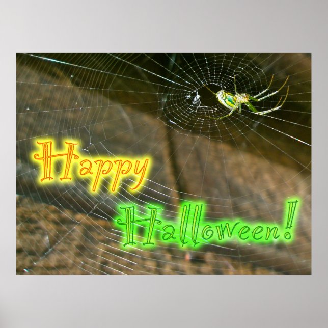Leucauge Orb Weaver Halloween Poster (Front)