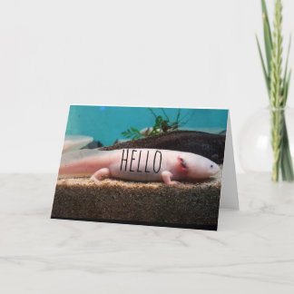 Leucistic Axolotl Card