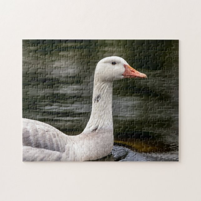 Leucistic Canadian Goose Jigsaw Puzzle (Horizontal)