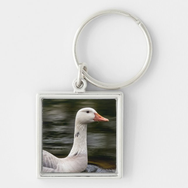 Leucistic Canadian Goose Key Ring (Front)