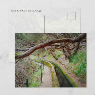 Levada das 25 Fontes Madeira Postcard