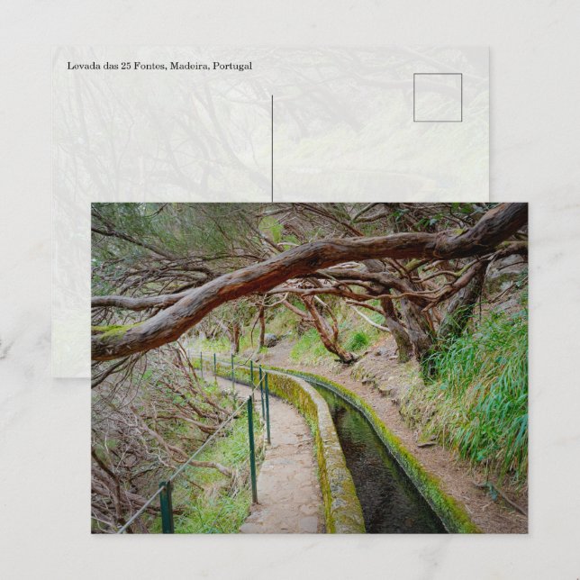 Levada das 25 Fontes Madeira Postcard (Front/Back)