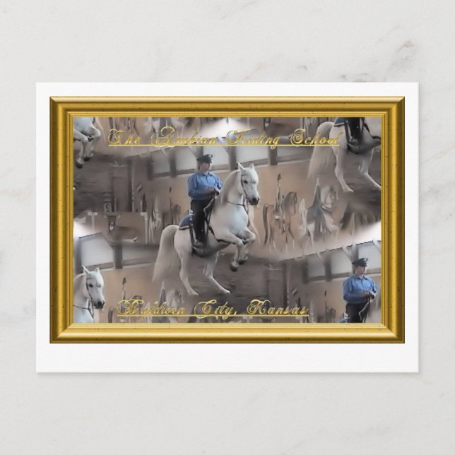 Levade with rider Postcard (Front)