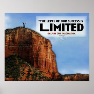 Level of Success Custom Poster