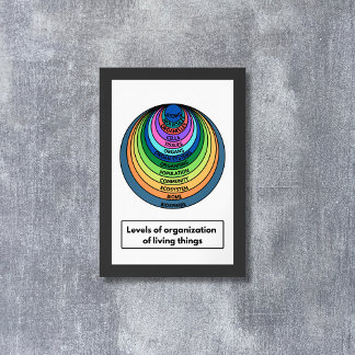 Levels of organisation of living things poster