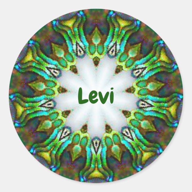 LEVI ~ Personalised Paua Shell Fractal ~ Classic Round Sticker (Front)