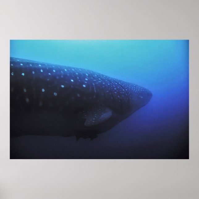 Leviathan Poster (Front)