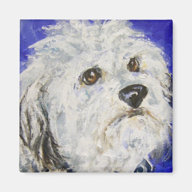 Levine’s Duncan Magnet (Front)