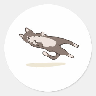 Levitating Cat sticker