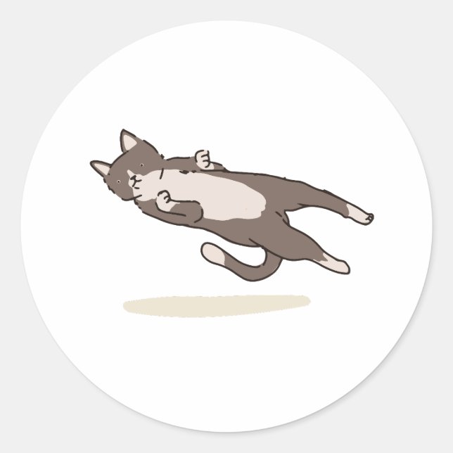 Levitating Cat sticker (Front)