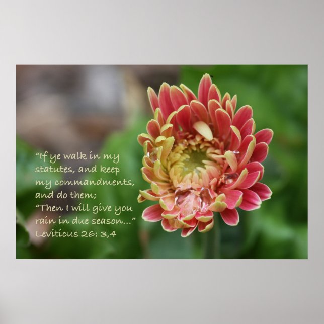 Leviticus 26:3,4 Scripture Poster (Front)