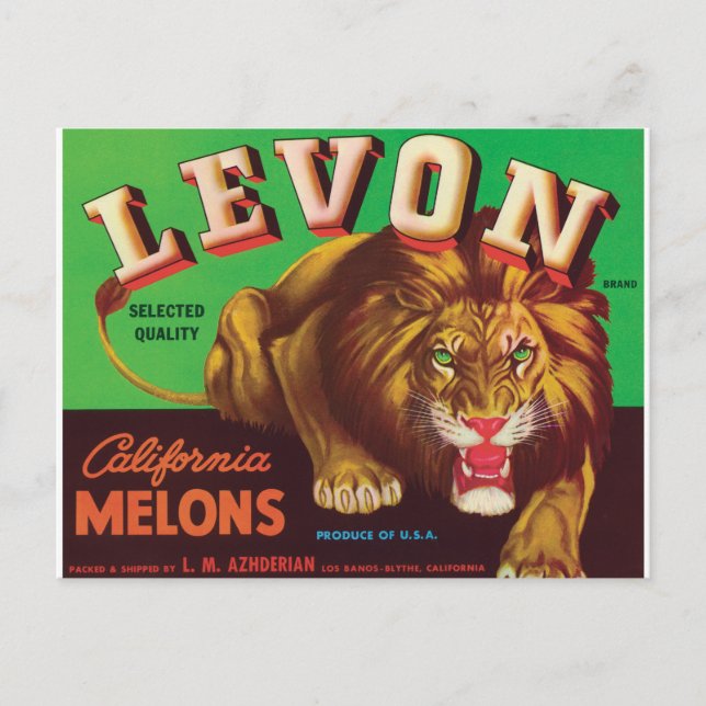 Levon Melons Tiger Los Banos Blythe California Art Postcard (Front)