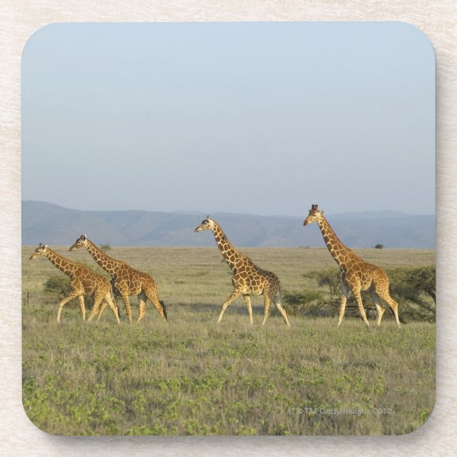 Lewa Wildlife Conservancy, Kenya Coaster (Front)