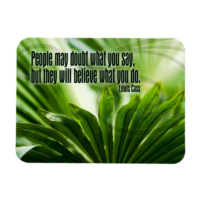 Lewis Cass Inspirational Quote "Doubt" Flexible Magnet (Horizontal)