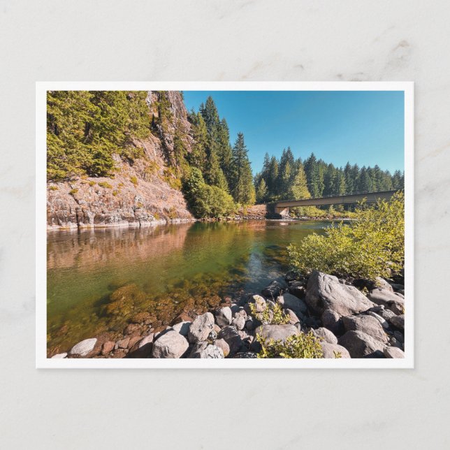 Lewis River  Postcard (Front)