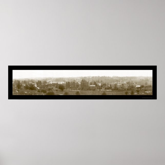 Lewisburg WV Birdseye Photo 1913 Poster (Front)