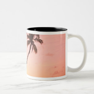 Lewolin Village, Illi Api Island, Selat Boleng Two-Tone Coffee Mug