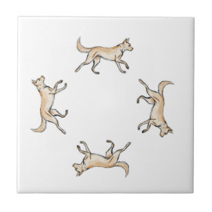 Lexi Trot Ceramic Tile