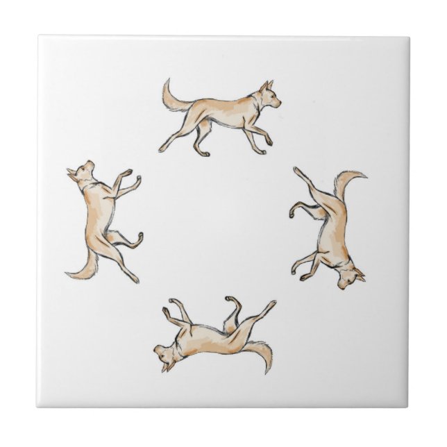 Lexi Trot   Ceramic Tile (Front)