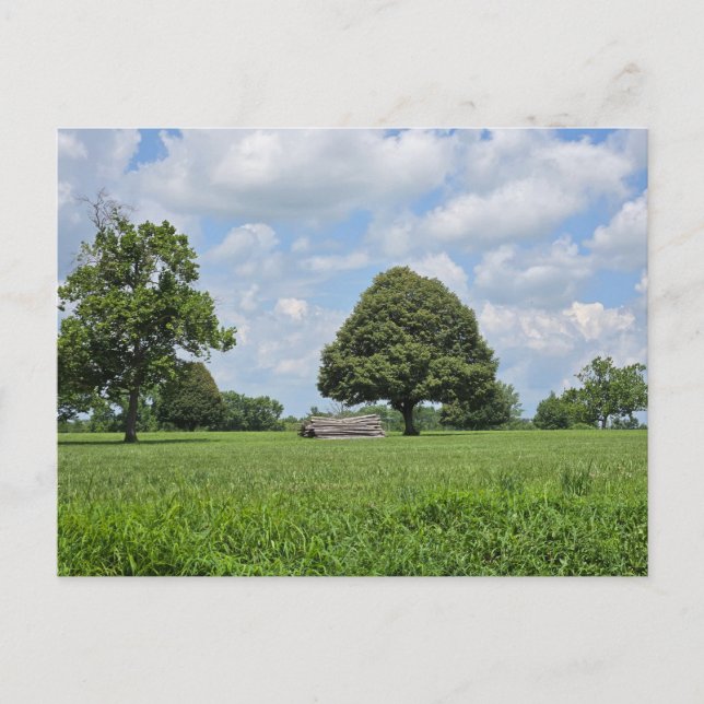 Lexington, Kentucky Invitation Postcard (Front)