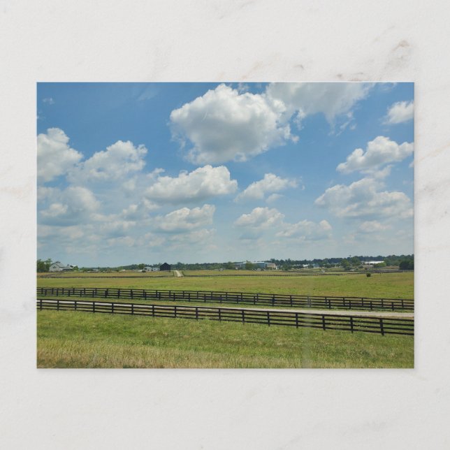 Lexington, Kentucky Postcard (Front)