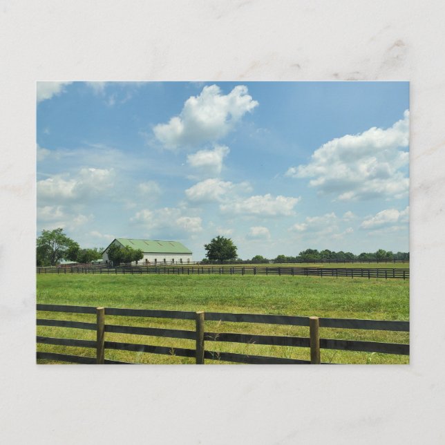 Lexington, Kentucky Postcard (Front)