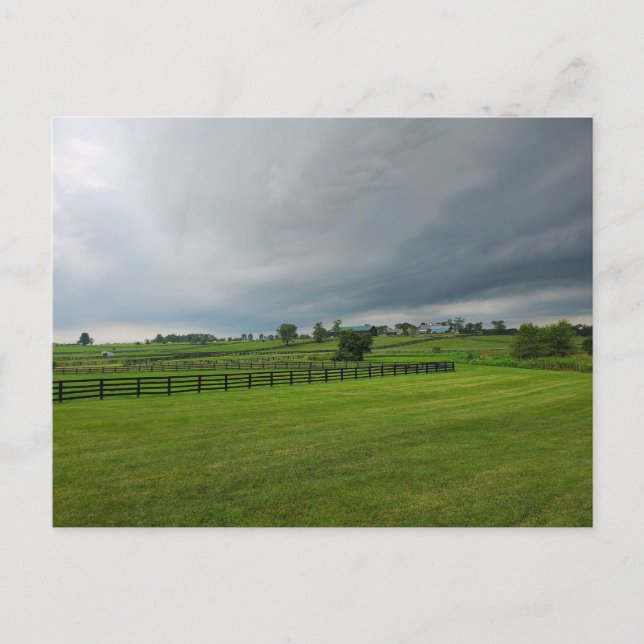 Lexington, Kentucky Postcard (Front)