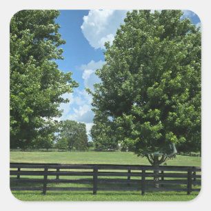 Lexington, Kentucky Square Sticker