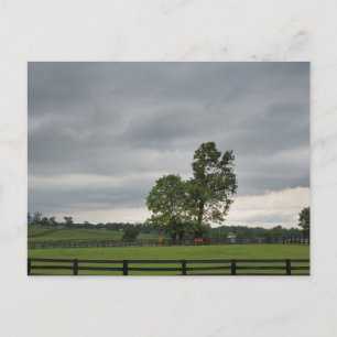 Lexington, KY Postcard